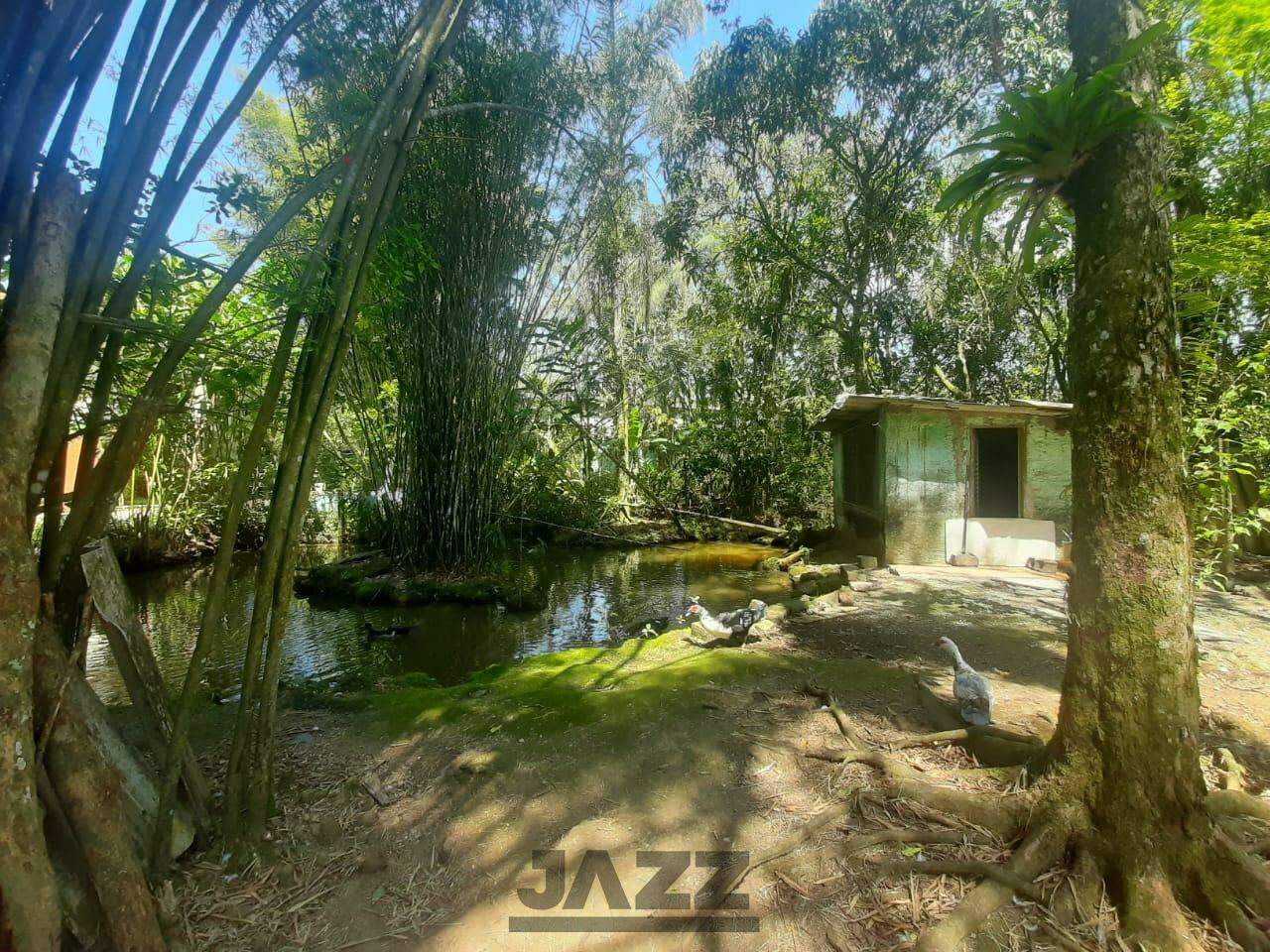 Fazenda à venda com 3 quartos, 200m² - Foto 37