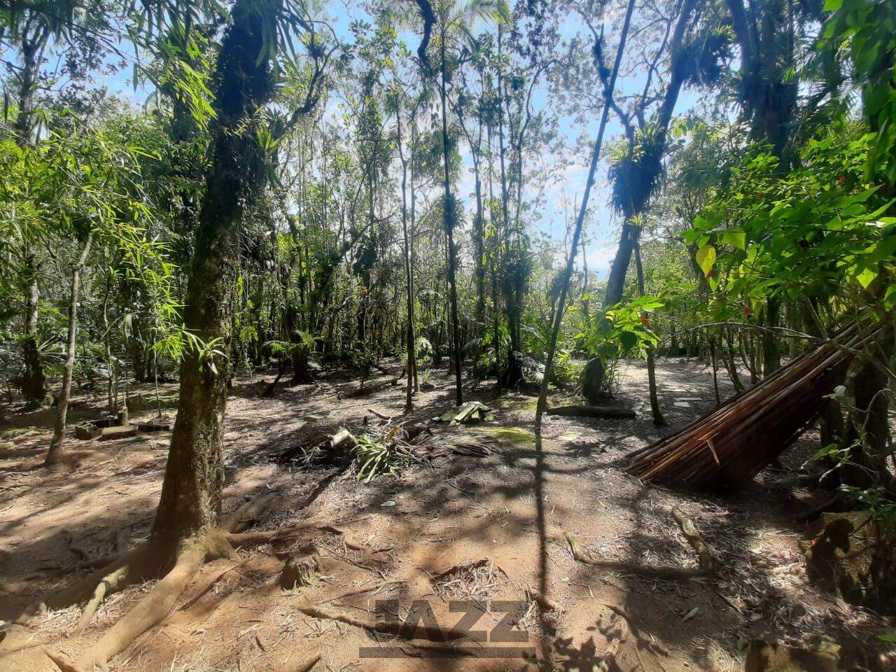 Fazenda à venda com 3 quartos, 200m² - Foto 36