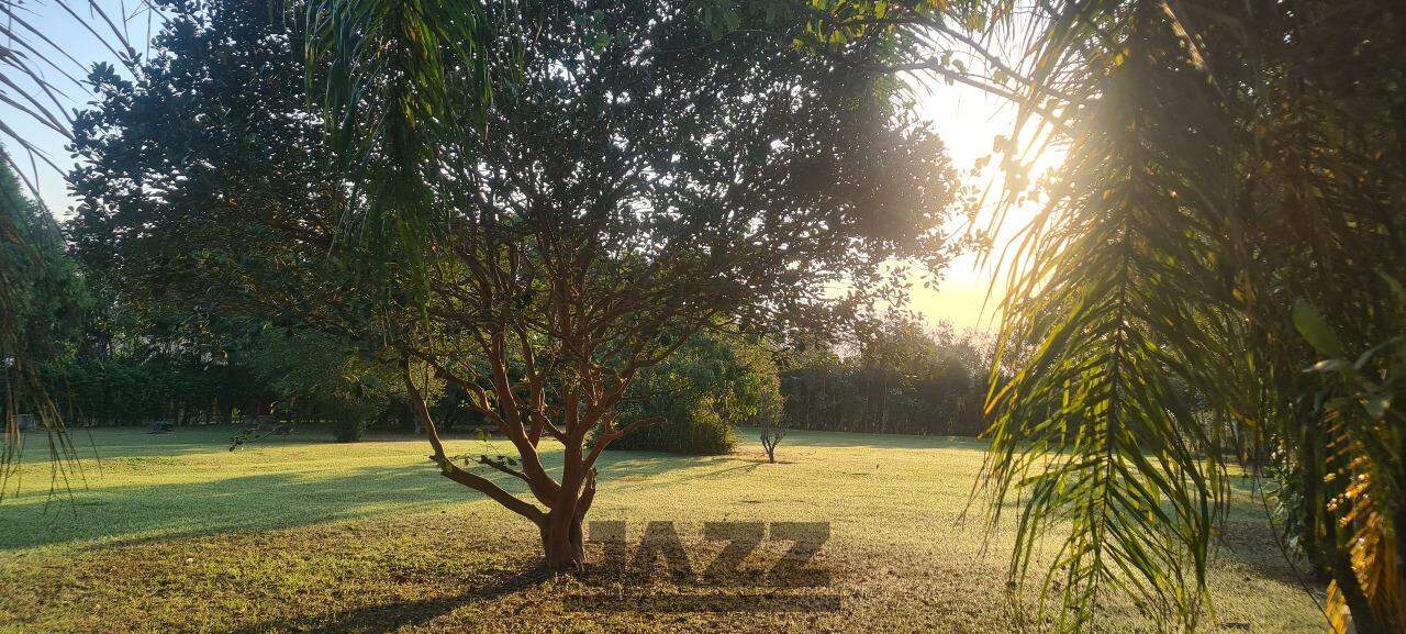 Fazenda à venda com 4 quartos, 360m² - Foto 10