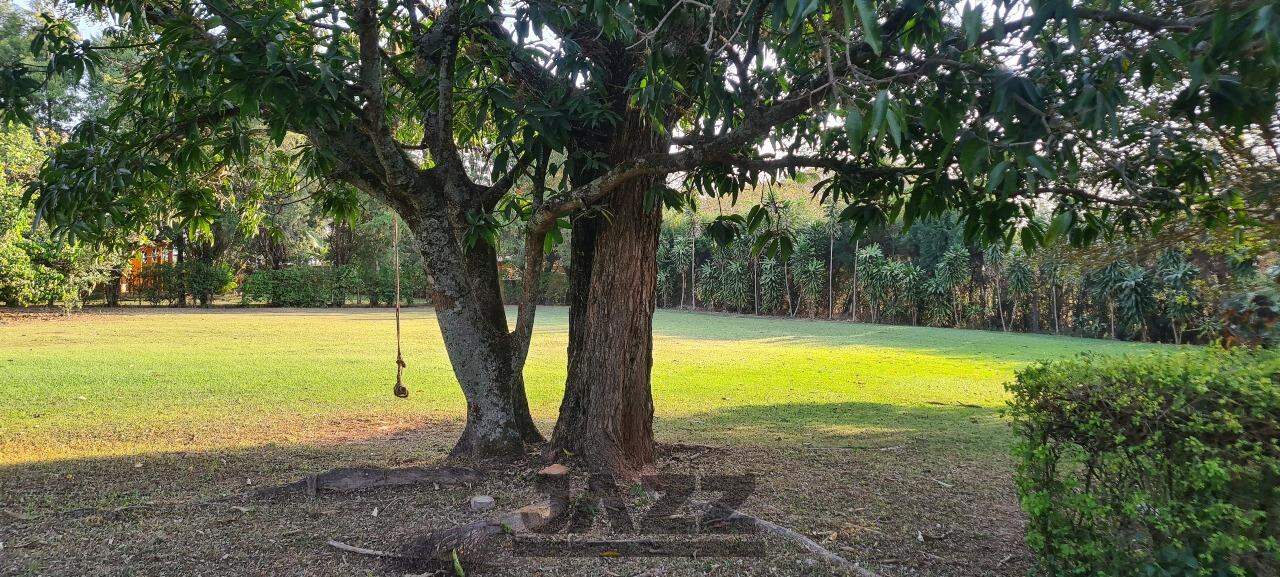 Fazenda à venda com 4 quartos, 360m² - Foto 30