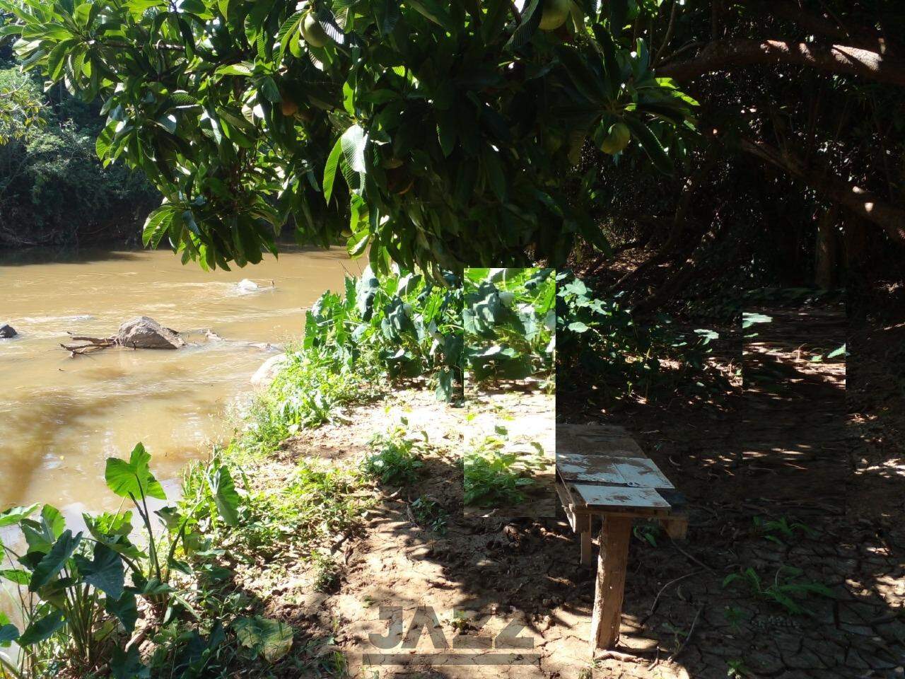 Fazenda à venda com 3 quartos, 250m² - Foto 3