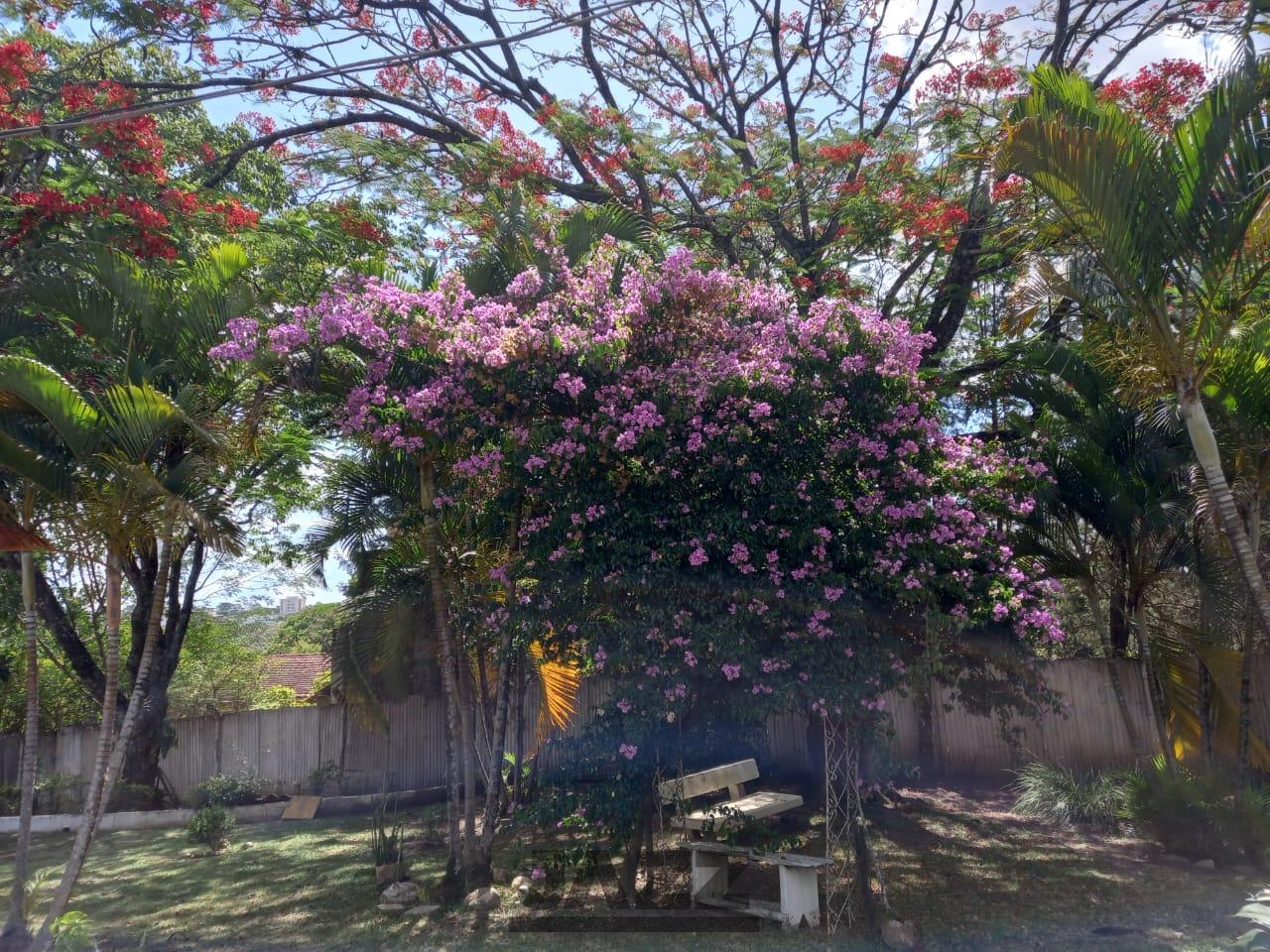 Fazenda à venda com 5 quartos, 163m² - Foto 6