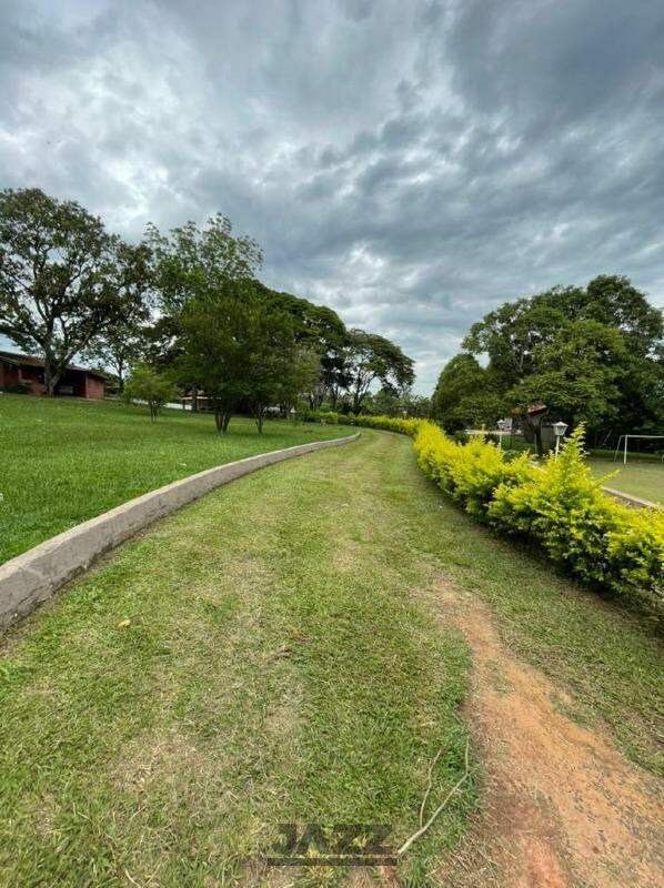 Fazenda à venda com 4 quartos, 600m² - Foto 50