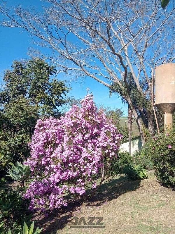 Fazenda à venda com 5 quartos, 540m² - Foto 7