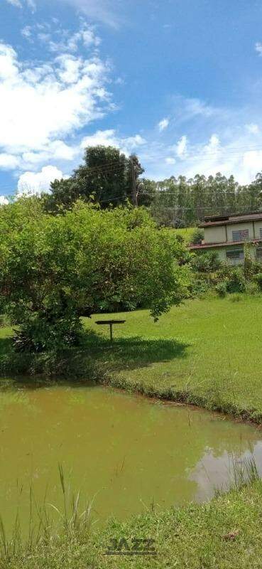 Fazenda à venda com 5 quartos, 540m² - Foto 23