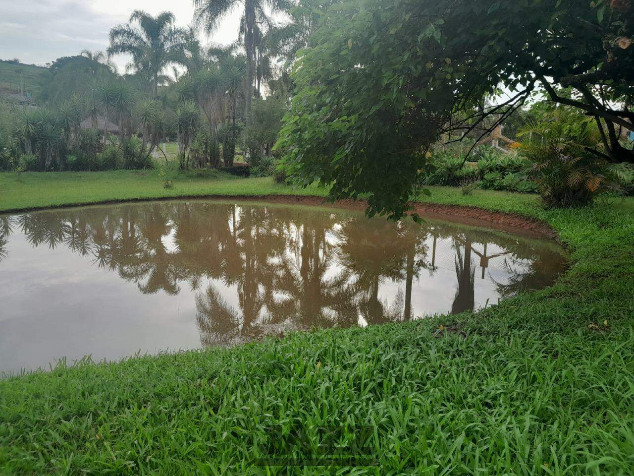 Fazenda à venda com 5 quartos, 540m² - Foto 31