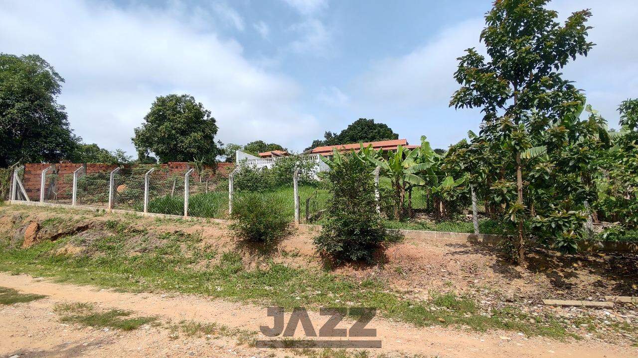 Fazenda à venda com 4 quartos, 400m² - Foto 6