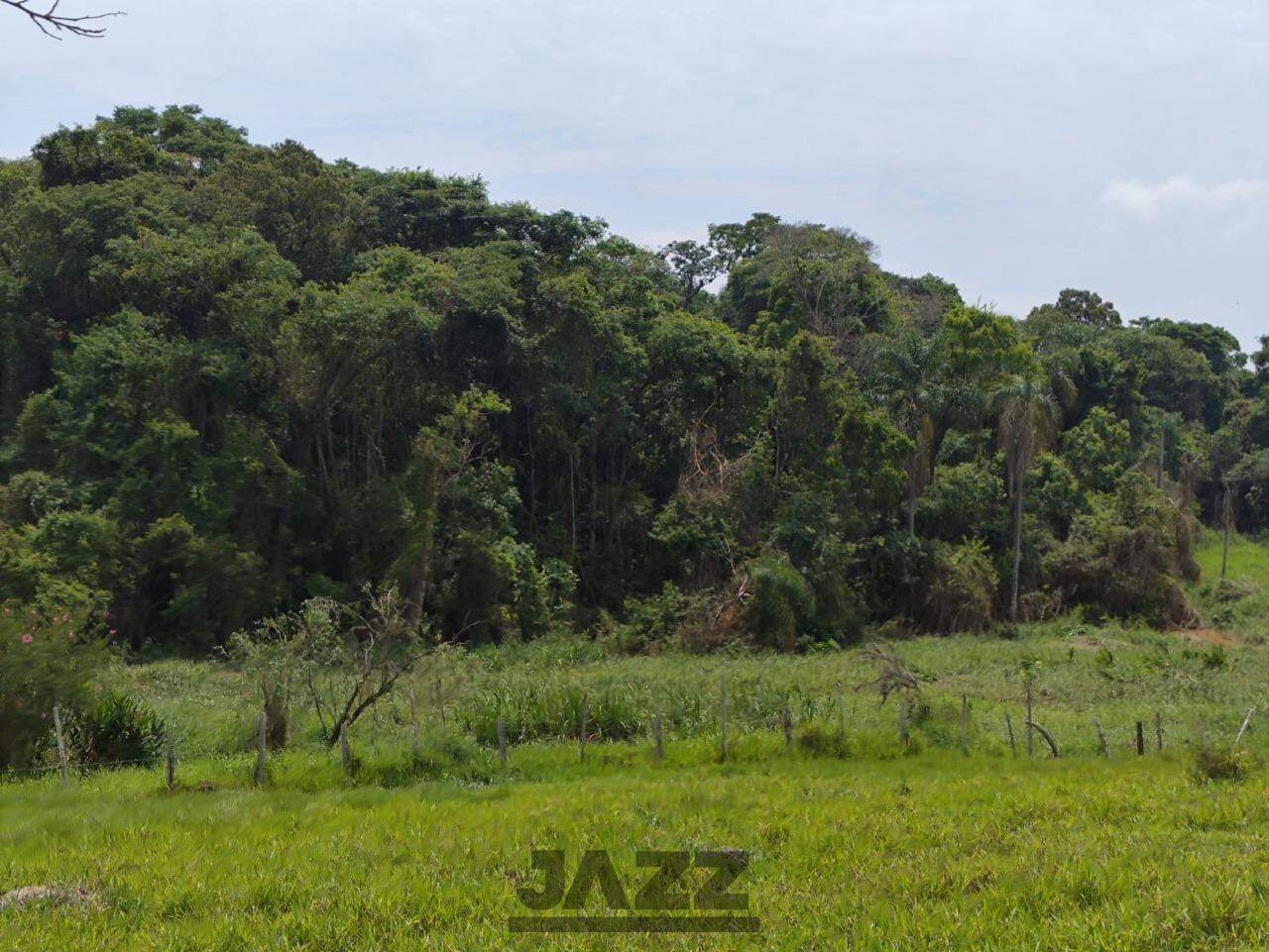 Fazenda à venda, 95m² - Foto 6