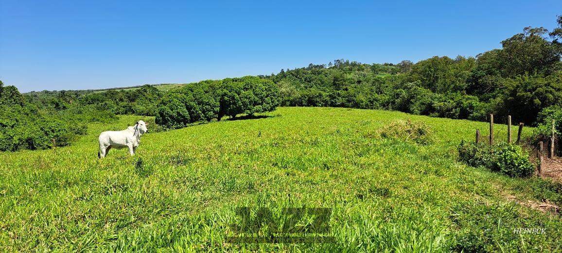 Fazenda à venda com 3 quartos, 968m² - Foto 26