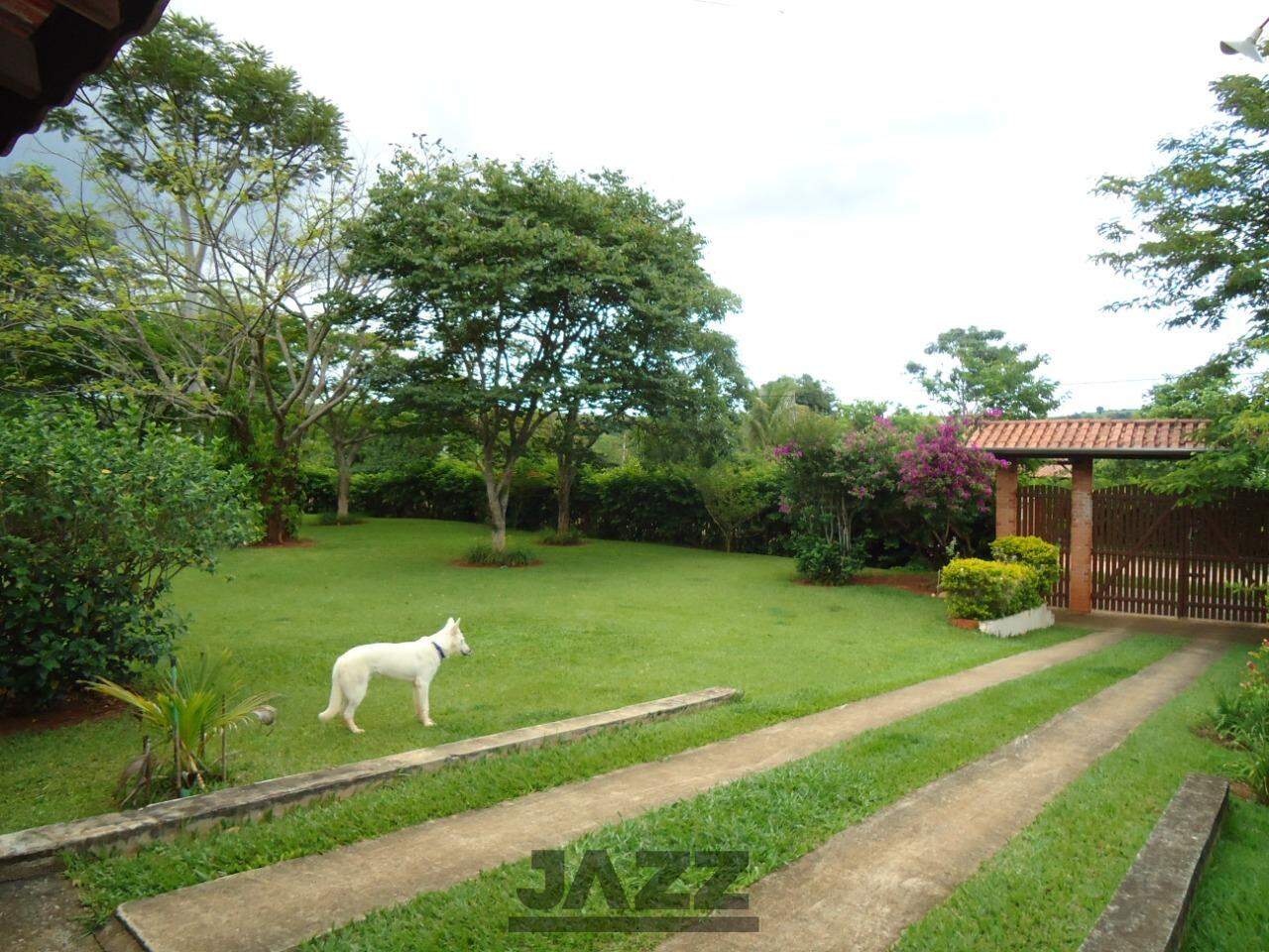 Fazenda à venda com 4 quartos, 440m² - Foto 3