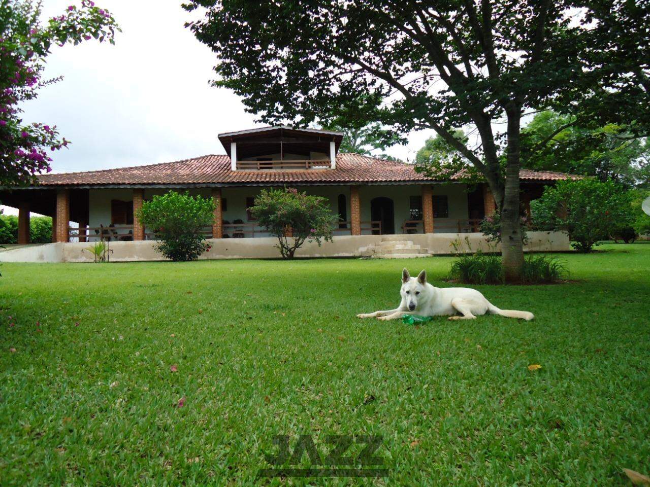 Fazenda à venda com 4 quartos, 440m² - Foto 1