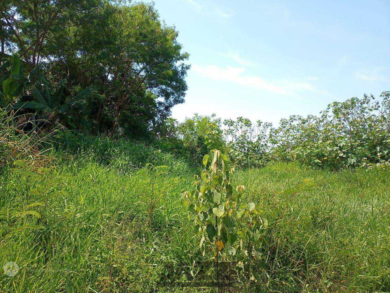 Terreno à venda, 11000m² - Foto 8