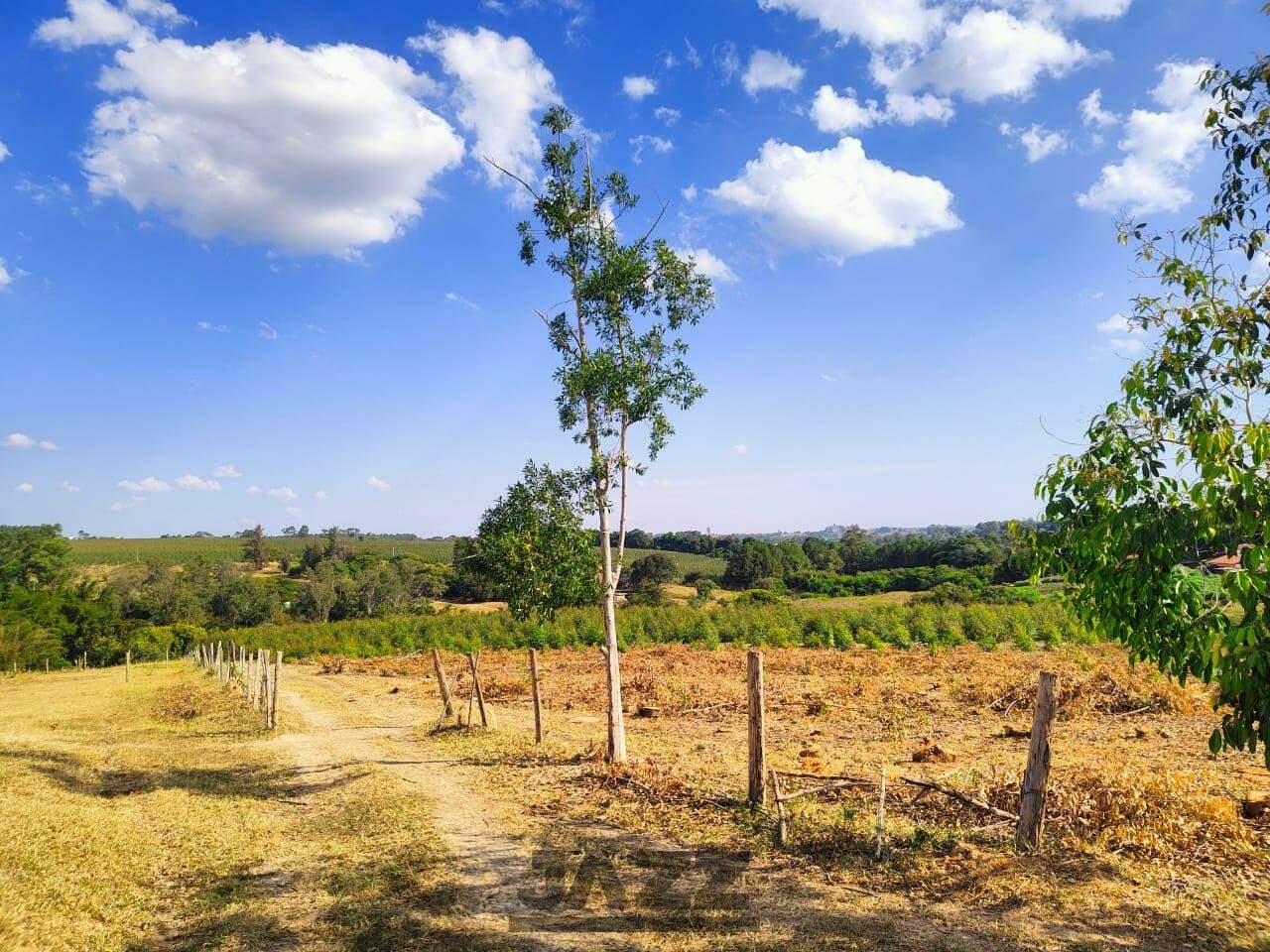 Terreno à venda, 48400m² - Foto 7