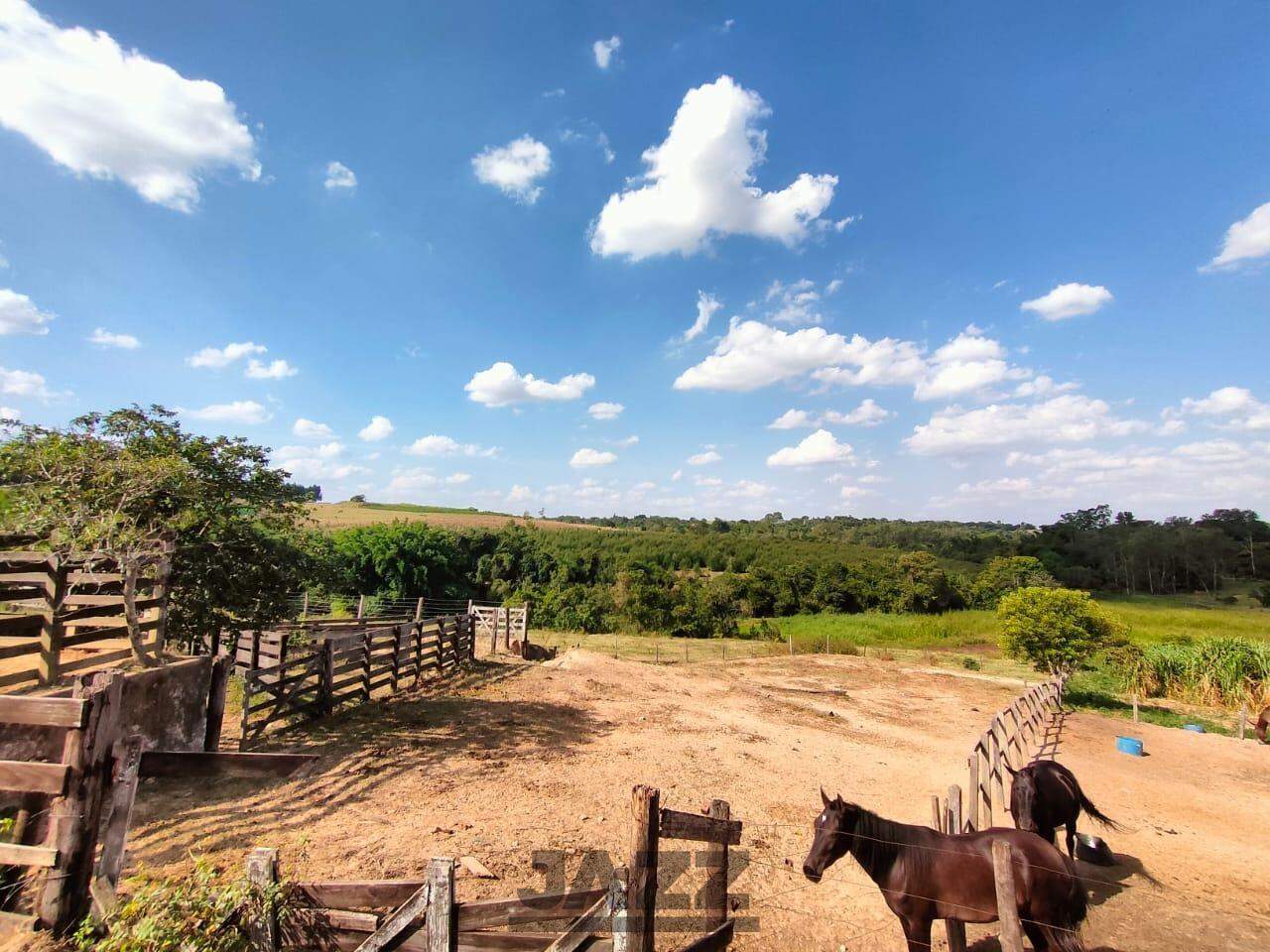 Terreno à venda, 48400m² - Foto 1