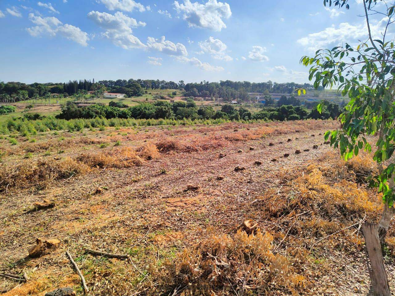 Terreno à venda, 48400m² - Foto 10