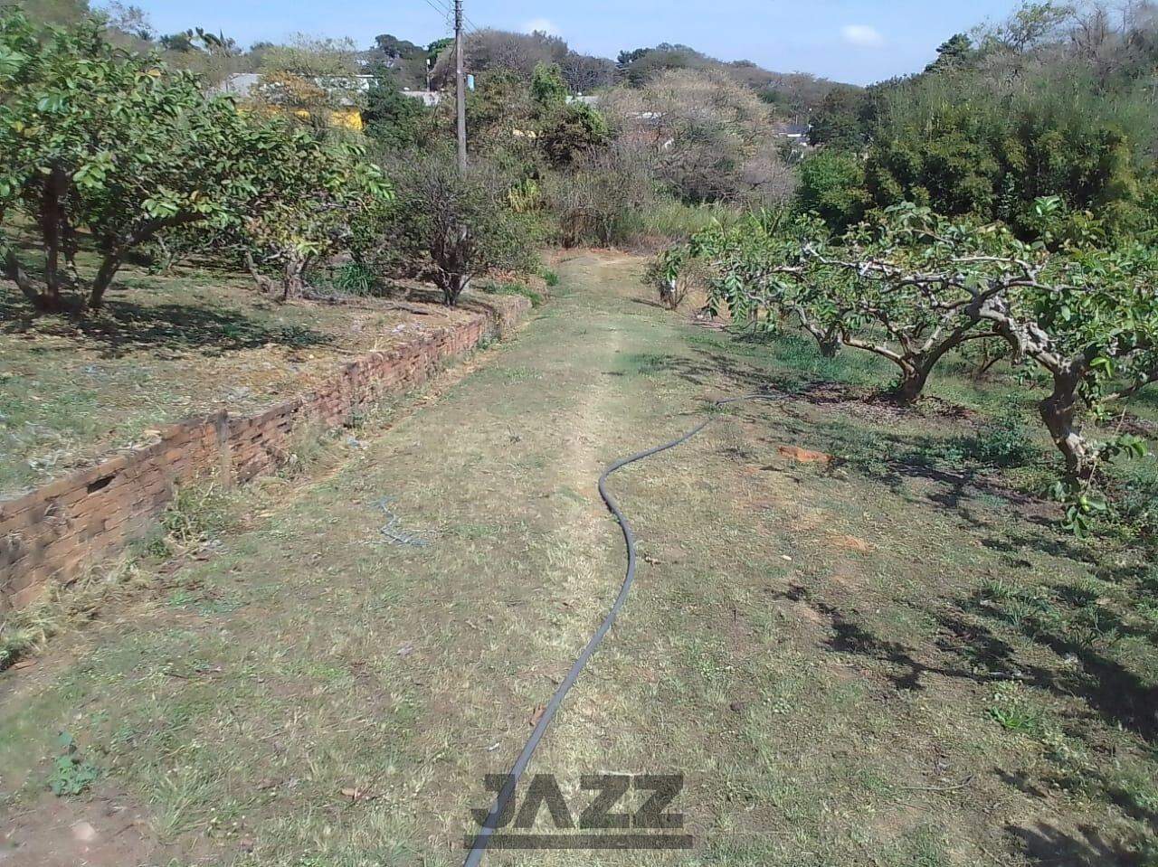 Fazenda à venda, 650m² - Foto 13