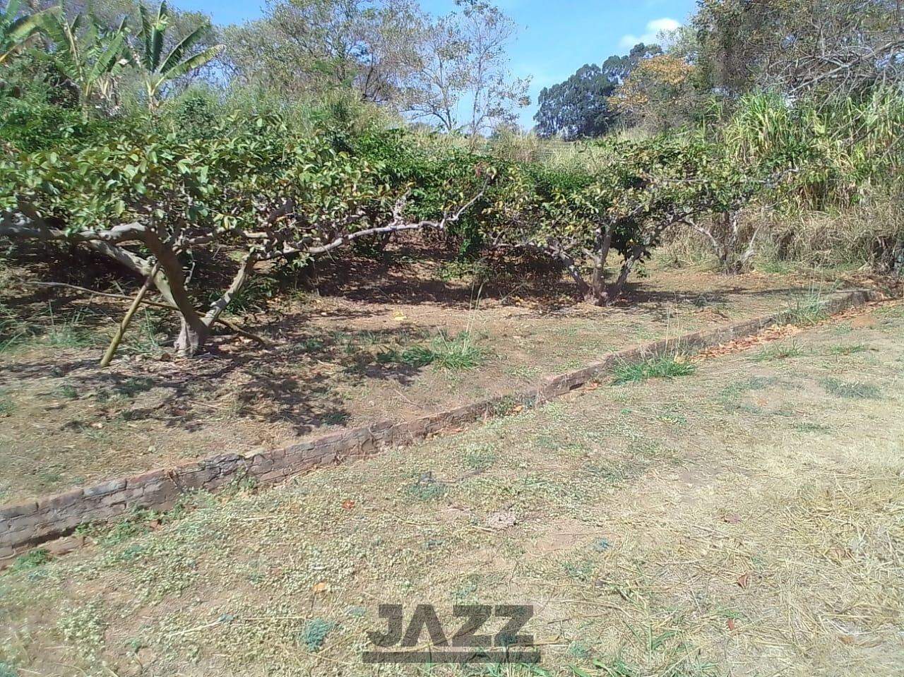 Fazenda à venda, 650m² - Foto 17