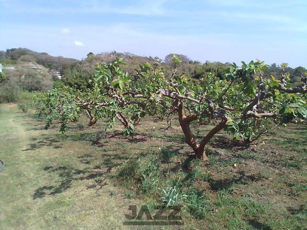 Fazenda à venda, 650m² - Foto 14