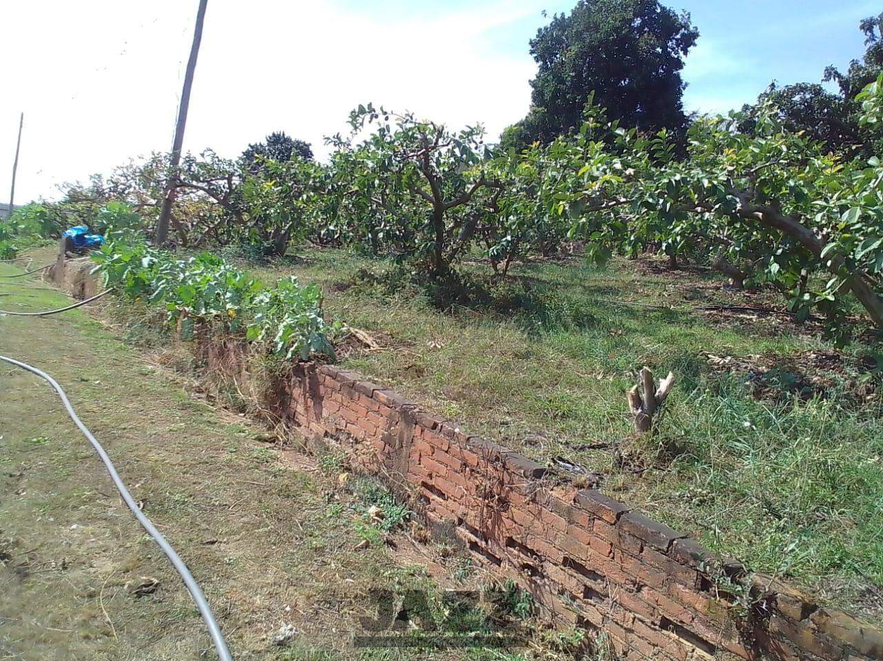 Fazenda à venda, 650m² - Foto 29