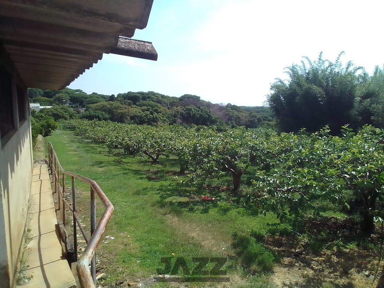 Fazenda à venda, 650m² - Foto 28