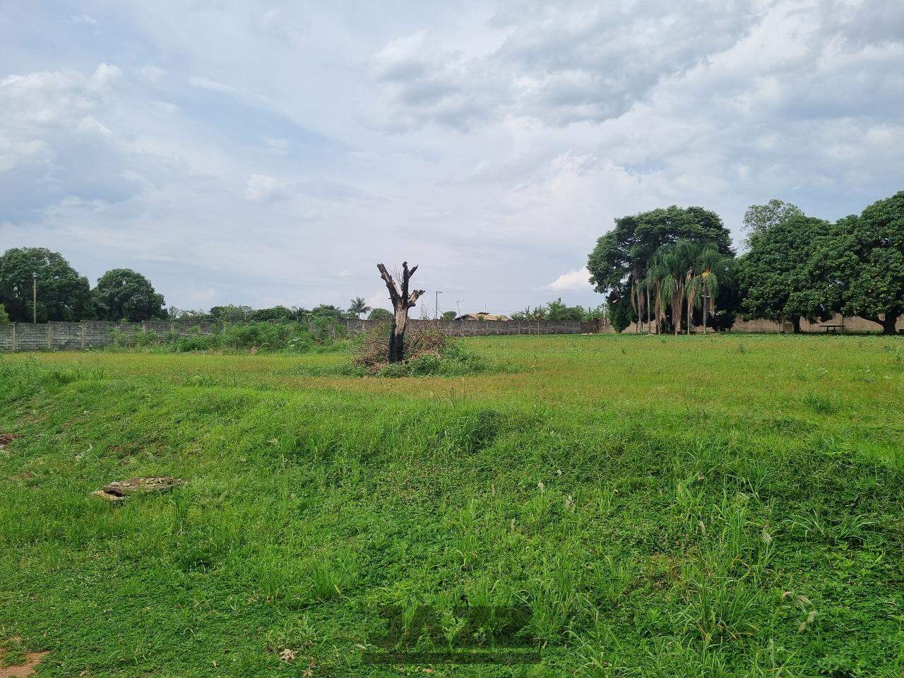 Fazenda à venda, 4660m² - Foto 11