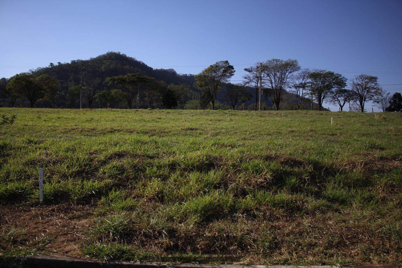 Terreno à venda, 300m² - Foto 6