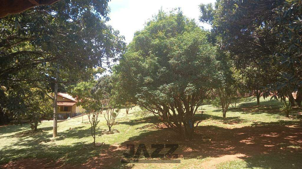 Fazenda à venda com 4 quartos, 700m² - Foto 41