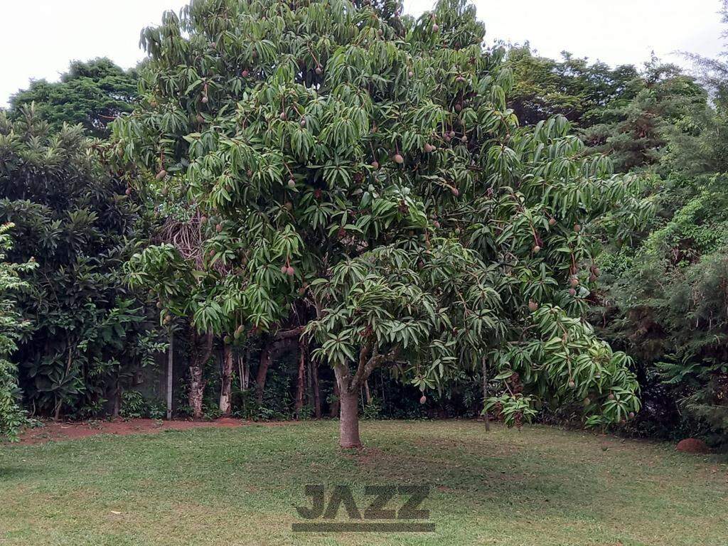 Fazenda à venda com 4 quartos, 700m² - Foto 60