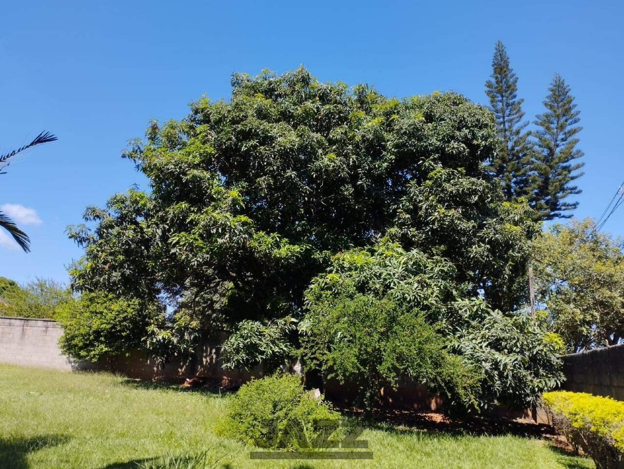 Fazenda à venda com 3 quartos, 200m² - Foto 36