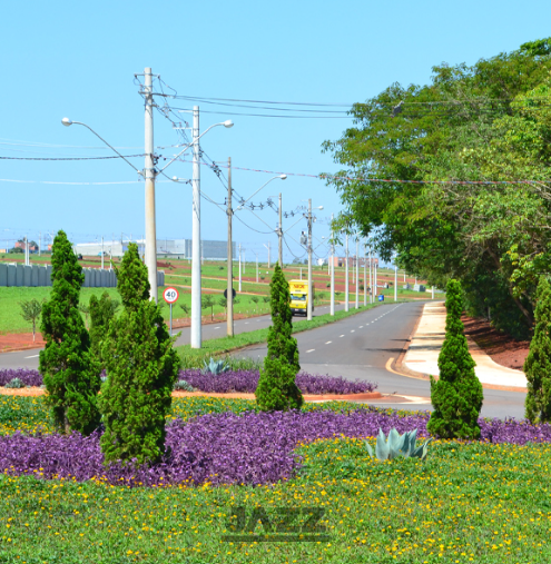 Terreno à venda, 250m² - Foto 2