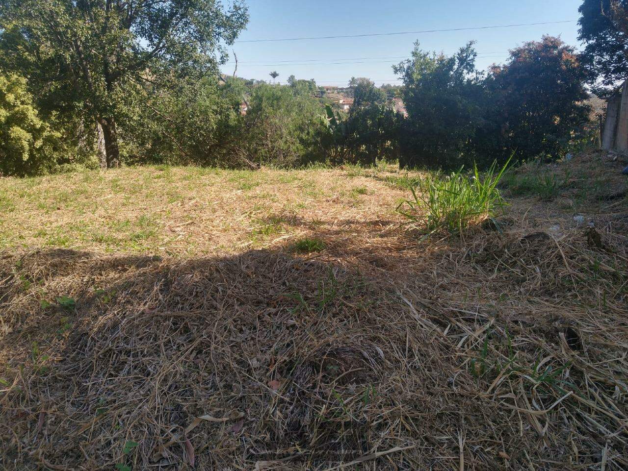 Terreno à venda, 1100m² - Foto 10