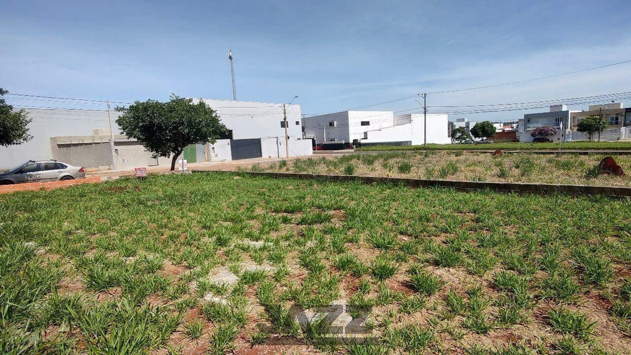 Terreno à venda, 250m² - Foto 6