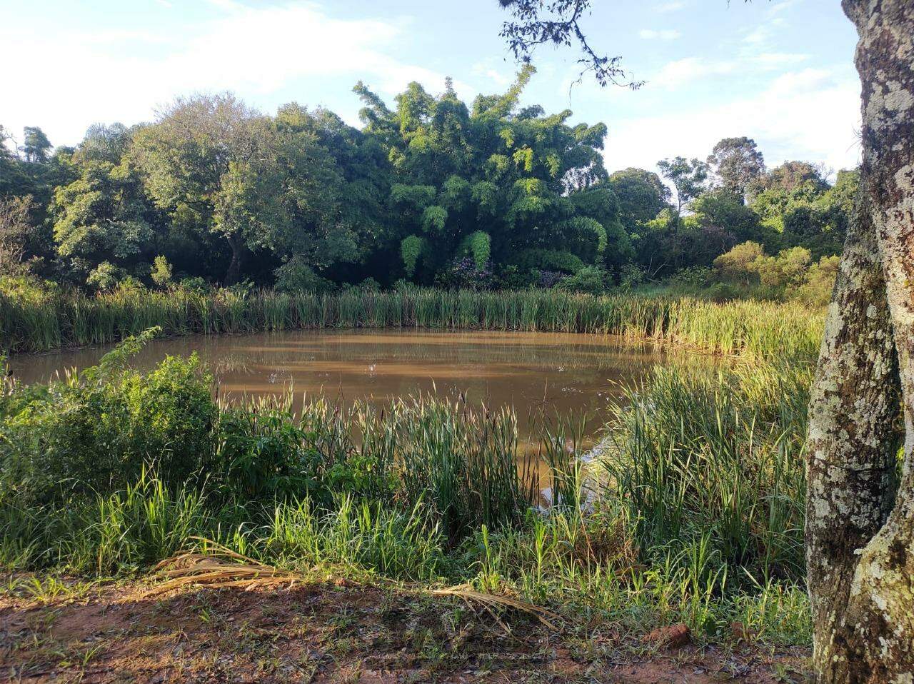 Fazenda à venda com 8 quartos, 380m² - Foto 34