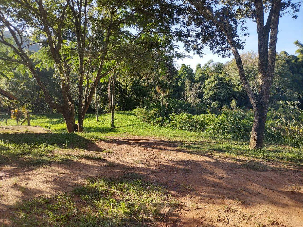 Fazenda à venda com 8 quartos, 380m² - Foto 20