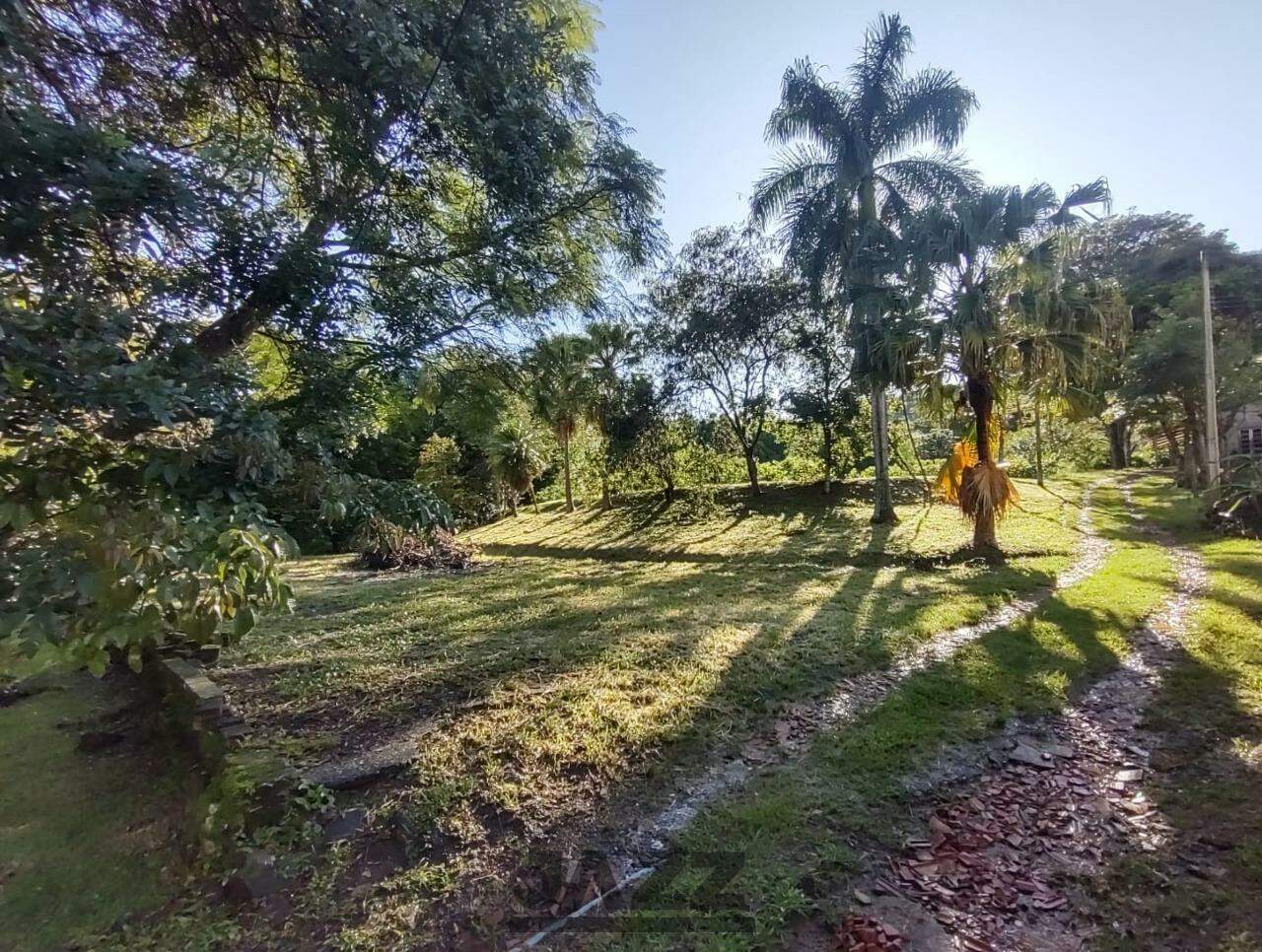 Fazenda à venda com 8 quartos, 380m² - Foto 30