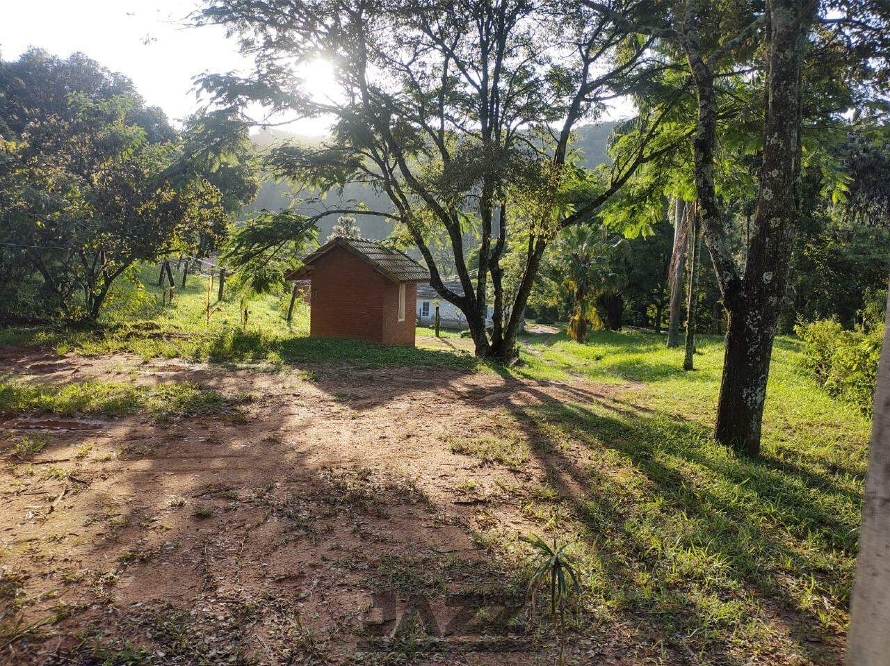 Fazenda à venda com 8 quartos, 380m² - Foto 28