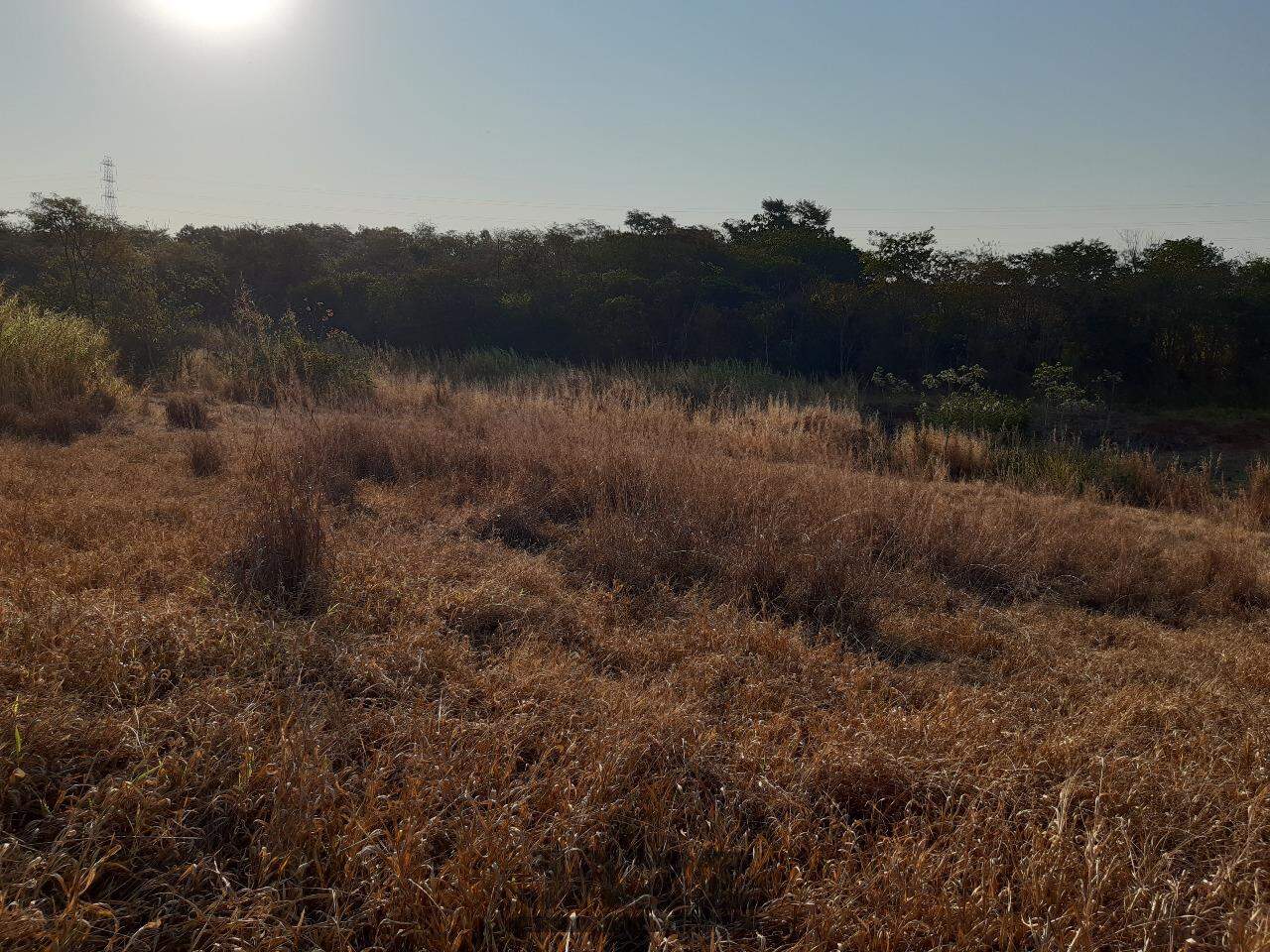 Terreno à venda, 2500m² - Foto 5