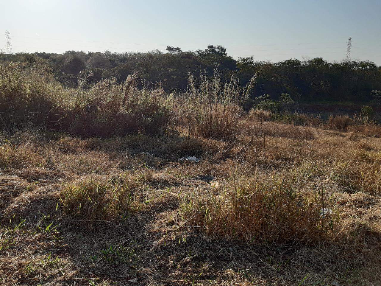 Terreno à venda, 2500m² - Foto 4