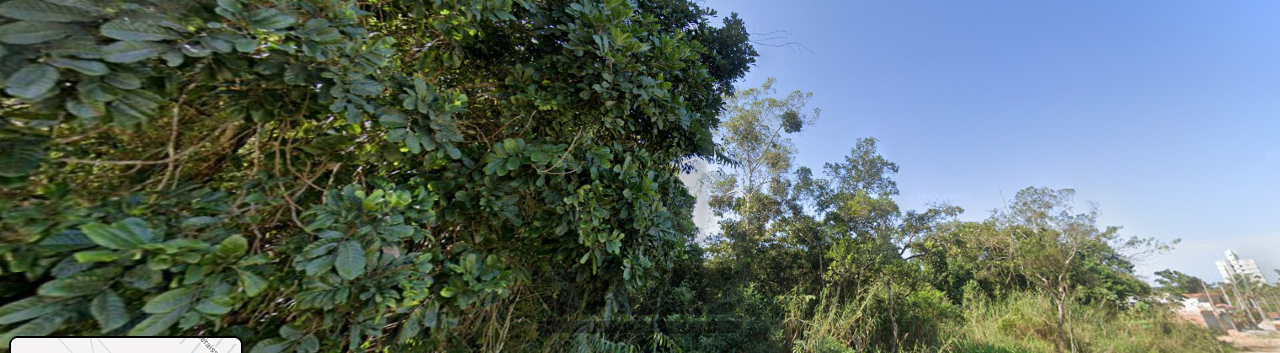 Terreno à venda, 1950m² - Foto 14