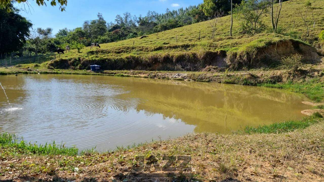 Fazenda à venda com 5 quartos, 350m² - Foto 10