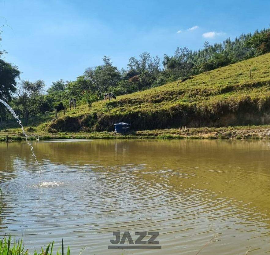 Fazenda à venda com 5 quartos, 350m² - Foto 12