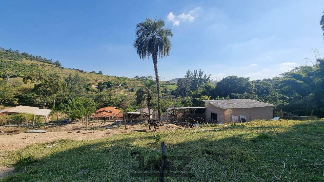 Fazenda à venda com 5 quartos, 350m² - Foto 28