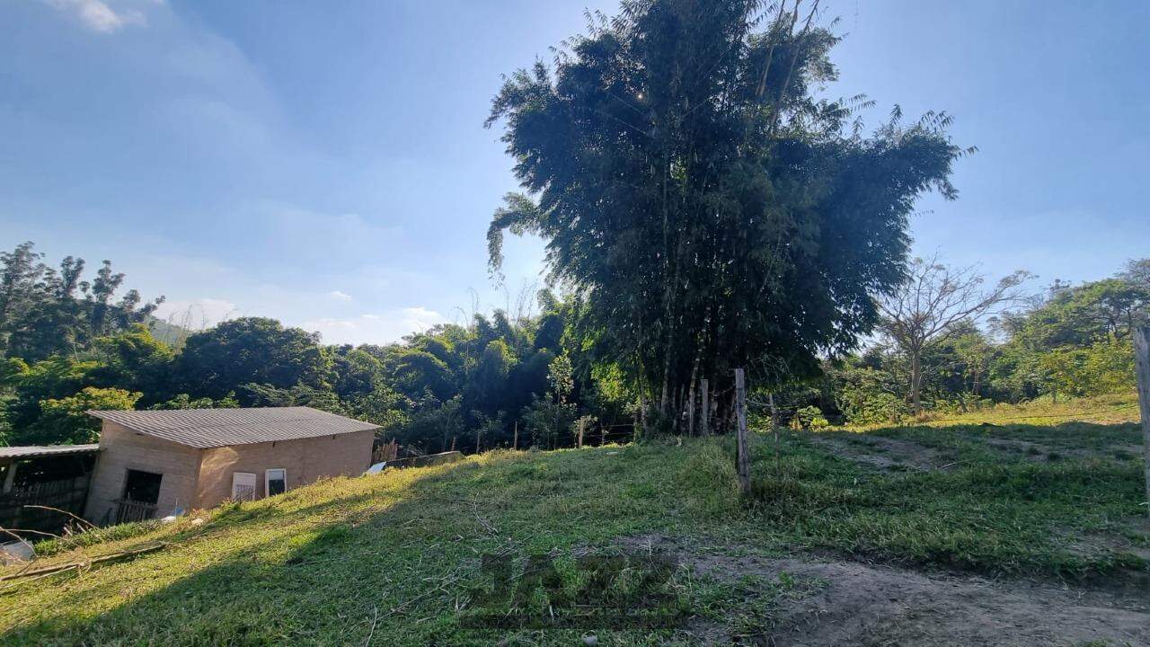 Fazenda à venda com 5 quartos, 350m² - Foto 2