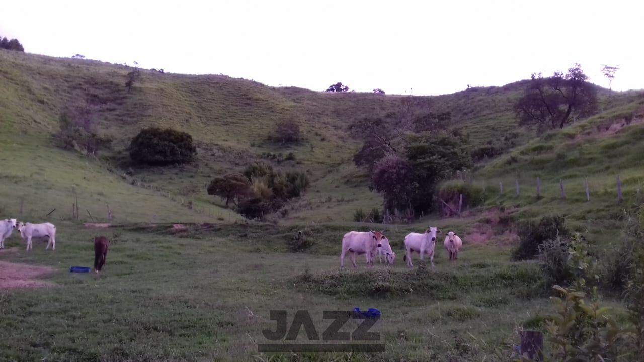 Fazenda à venda, 153472m² - Foto 17