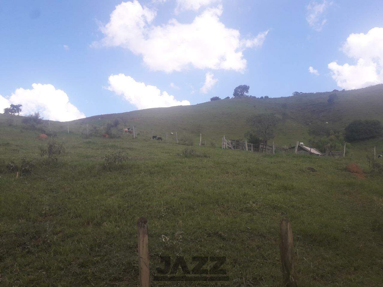 Fazenda à venda, 153472m² - Foto 7