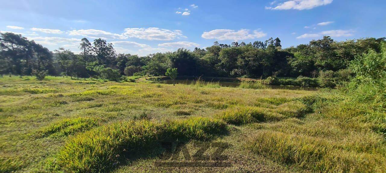 Fazenda à venda com 3 quartos, 500m² - Foto 45