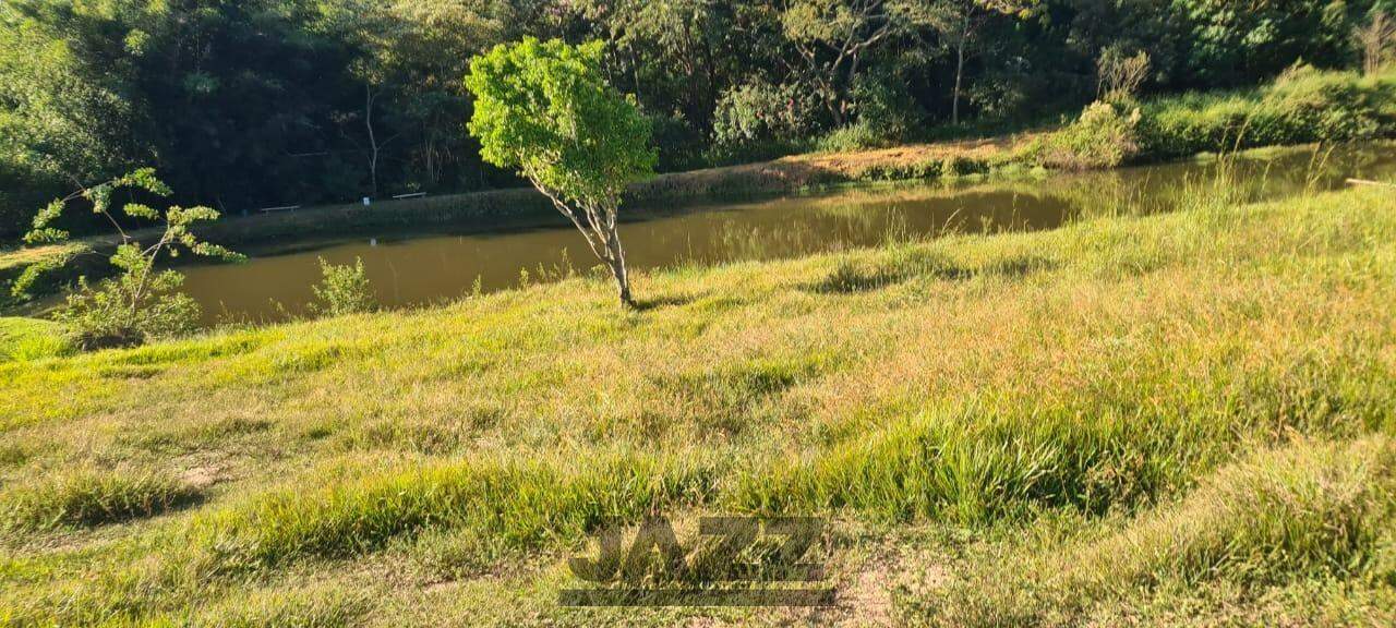 Fazenda à venda com 3 quartos, 500m² - Foto 48