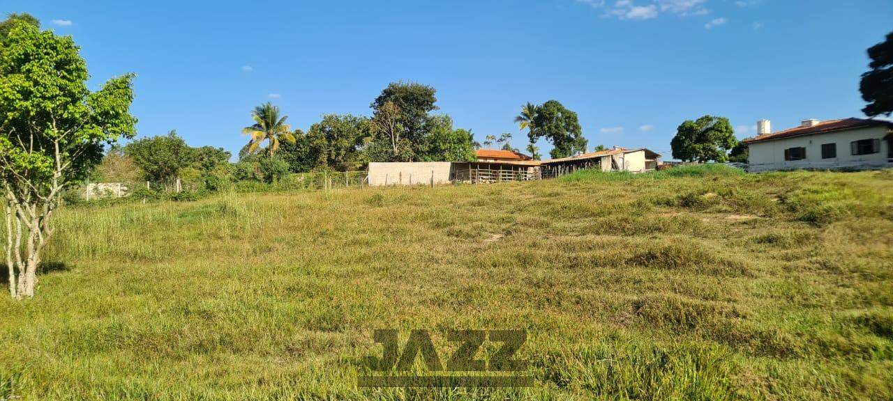 Fazenda à venda com 3 quartos, 500m² - Foto 46