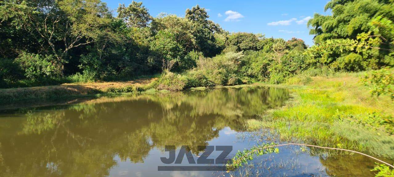 Fazenda à venda com 3 quartos, 500m² - Foto 14