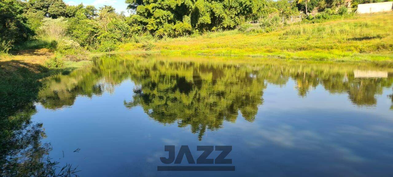 Fazenda à venda com 3 quartos, 500m² - Foto 20